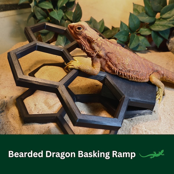 Reptile Basking Ramp, Bearded Dragon Climbing Platform, Honeycomb Wall Lounger for Gecko or beardies, Perfect Gift for Reptile Lover