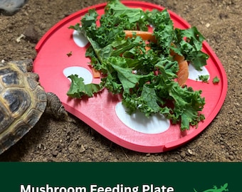 TORTOISE Mushroom Feeding Plate, Food Bowl, Bearded Dragon Feeding