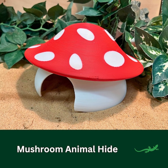 Mushroom Reptile Hide, Whimsical Vivarium Accessory for Pet