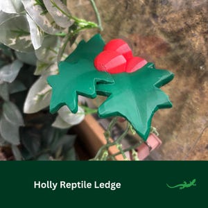 HOLLY Ledge Reptile platform, Christmas Vivarium Decor Gift, Crested Gecko, Dart tree Frog, Spider, Climbing Basking Spot, SUCTION CUPS