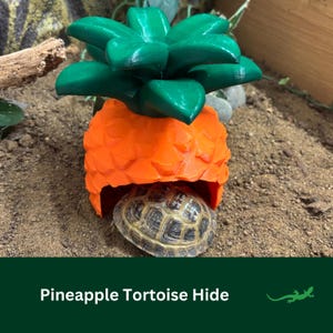 May include: A tortoise shelters under an orange and green pineapple-shaped hide. The hide is made of plastic. The text "Pineapple Tortoise Hide" is at the bottom of the image. The hide is designed for a tortoise.
