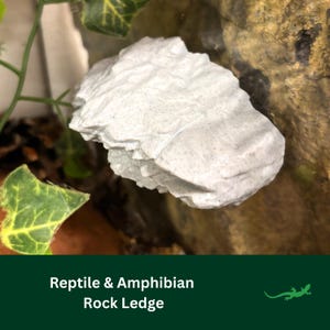May include: A white rock ledge for reptiles and amphibians. The ledge has a textured surface and is designed to mimic a natural rock formation. The image includes the text "Reptile & Amphibian Rock Ledge".