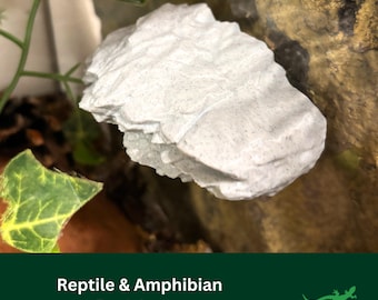 Reptile ROCK Ledge platform, Vivarium Decor, Gift for Crested Gecko, Dart tree Frog, Jumping Spider, Climbing Basking Spot, SUCTION CUPS