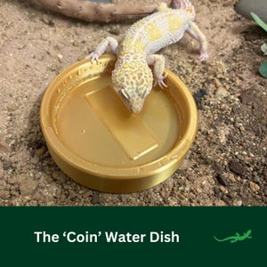 COIN Reptile Water Bowl, Bearded Dragon Hot Tub Bathing Spot, Paddling Pool Dish for Gecko or beardies, Perfect Gift for Reptile Lover