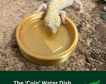 COIN Reptile Water Bowl, Bearded Dragon Hot Tub Bathing Spot, Paddling Pool Dish for Gecko or beardies, Perfect Gift for Reptile Lover