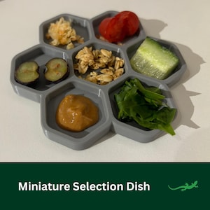 May include: A gray, hexagonal miniature selection dish filled with various foods, including tomatoes, cucumber, spinach, and a dollop of peanut butter. The dish is labeled "Miniature Selection Dish" in white text.