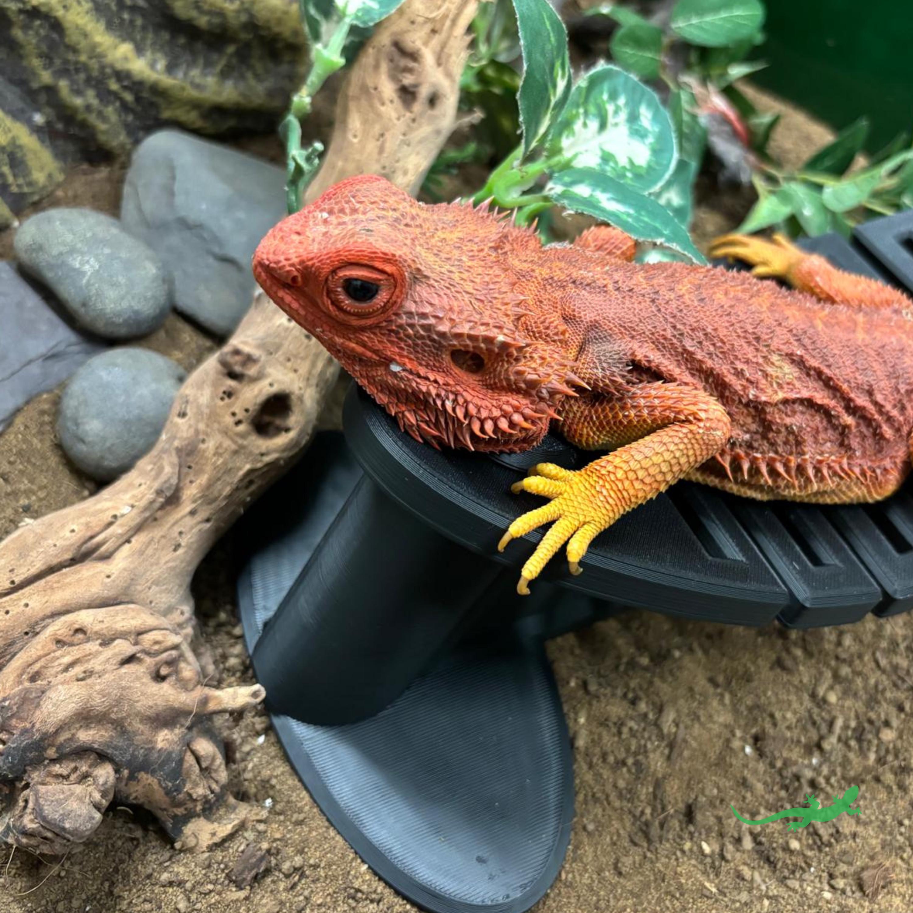 Lizard Hammocks Bartagame Hangmat - Ademend Netbed Voor Reptielen, Vogels, Parkieten En Kleine Dieren