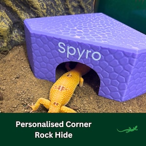 May include: A purple personalised corner rock hide for reptiles, with the name "Spyro" printed on the front. A yellow gecko is partially visible inside the hide.