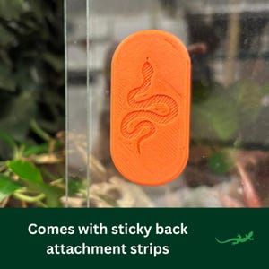 May include: Orange, rectangular reptile-themed decorative accent with a snake design. The accent is attached to a clear surface. The text at the bottom says "Comes with sticky back attachment strips."