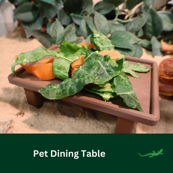 Dining Table for bearded dragon, Feeding Bowl, Large Reptile food dish, Funny Gift for Reptile Animal Lover, Vivarium decor