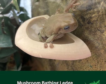 Mushroom Bathing FROG Ledge, Wall mounted DRINKING dish, Crested Gecko Climbing Spot Platform, Reptile Decor, Amphibian Accessories Gift