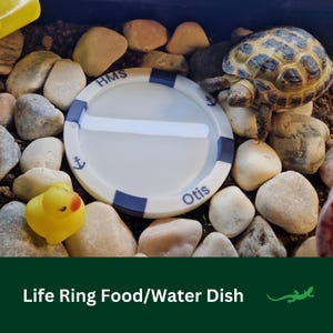 Personalised Life Ring Bowl, Bouy Food Dish, Bearded Dragon Bathing Spot, Paddling Pool for Gecko & beardies, Perfect Gift for Reptile Lover