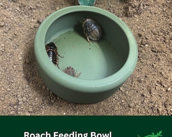 Escape-proof Roach Bowl, LARGE Feeding Reptile Bowl, Frog Feeding Dish, Bug Holding Container for  beardies and amphibians