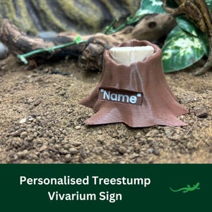 Treestump Personalised Name Sign, Reptile Decoration, Vivarium Accessory Gift, Ornament for reptile lover, Gecko, Jumping Spider, Frog