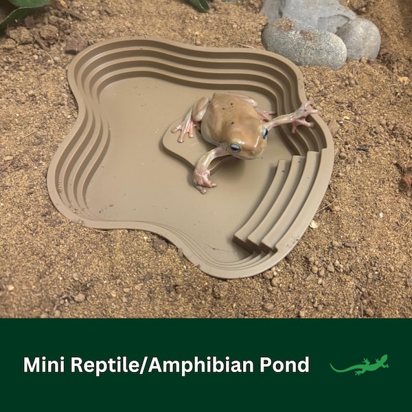 Miniature Frog Pond, Reptile Water Bowl, Bearded Dragon Feeding Dish, Water Container for Gecko or beardies, Perfect Gift for Large Reptile