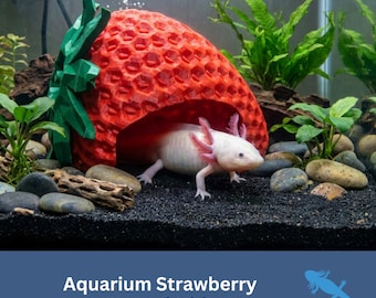 Aquatic STRAWBERRY Hide, GROUND, Aquarium Decoration, Betta, Fighter Fish Tank Decor, Amphibian lover Gift, cave hiding spot