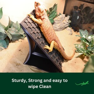 Reptile Climbing Ramp, Bearded Dragon Basking Platform, Rock Wall ...