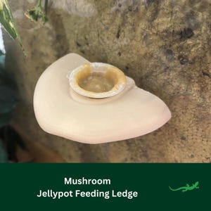 May include: A beige ceramic mushroom-shaped feeding ledge with a small clear plastic dish on top. The dish contains a brown substance. The ledge is labelled "Mushroom Jellypot Feeding Ledge".