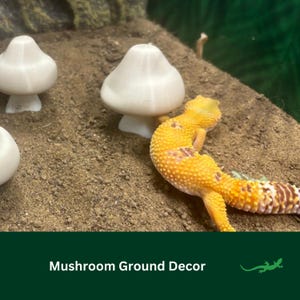 GROUND Mushroom Vivarium Decor, Crested Gecko Gift, Dart tree Frog, Jumping Spider, Climbing Basking Spot, Reptile Enclosure Decoration
