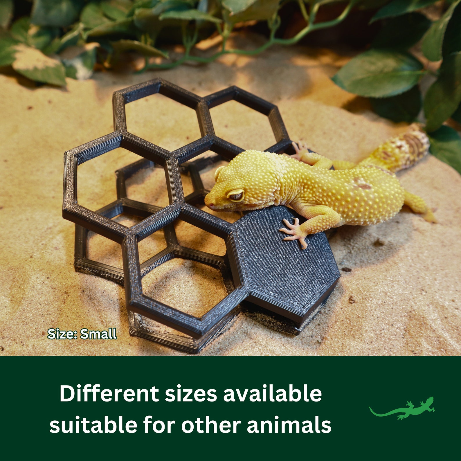 Reptile Basking Ramp, Bearded Dragon Climbing Platform, Honeycomb Wall ...