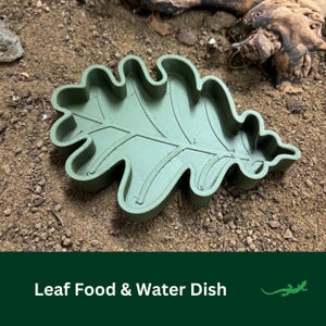 Reptile  Food and Water Bowl, OAK LEAF, Bearded Dragon Feeding Dish, Food holder for Gecko or beardies, Perfect Gift for Reptile Lover