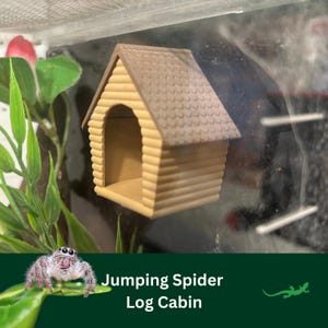 JUMPING SPIDER Blockhaus-Versteck, MAGNETISCH Haustier Gehäuse, Spinnenhöhle, Spinnentier Dekor, Regal, Microgecko, Spood Liebhaber Geschenk