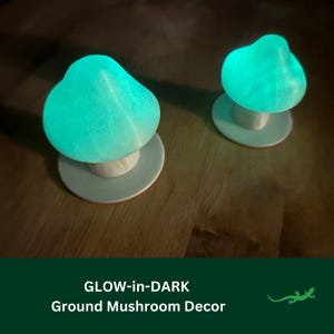 GLOW in the Dark GROUND Mushroom Vivarium Decor, Crested Gecko Gift, tree Frog, Jumping Spider, Climbing Spot, Reptile Enclosure Decoration