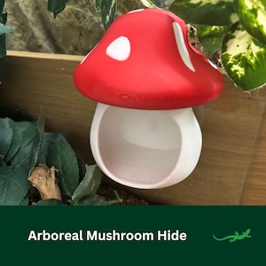 MAGNETIC MUSHROOM Wall Mounted Reptile Hide, Arboreal Tree Frog, Vivarium Accessory Gift for Screen enclosure, Mesh enclosure, Crested Gecko