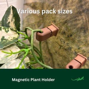 MAGNETIC Plant Holder, Artificial Plants Reptile Clip, Chameleon,  Leachie, Crested Gecko, GLASS , Screen Mesh vivarium ornament attachment