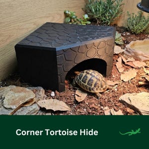 Könnte beinhalten: Ein schwarzes Eckversteck für Schildkröten mit einer strukturierten, steinartigen Oberfläche auf der Oberseite und den Seiten. Die Struktur verfügt über eine gewölbte Öffnung an der Vorderseite, und eine kleine Schildkröte mit braun-beigem Panzer.