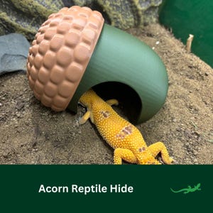 May include: A green and brown acorn-shaped reptile hide with a yellow gecko lizard inside. The hide is made of plastic and has a textured surface. Acorn Reptile Hide.