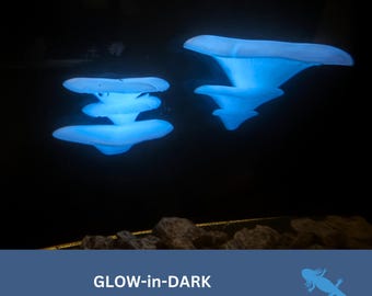 GLOW in DARK Mushroom Ledge, AQUARIUM Decoration, Fishtank Accessory Gift, Ornament for Axolotl lover, Betta, Turtle, Tropical Fish Tank