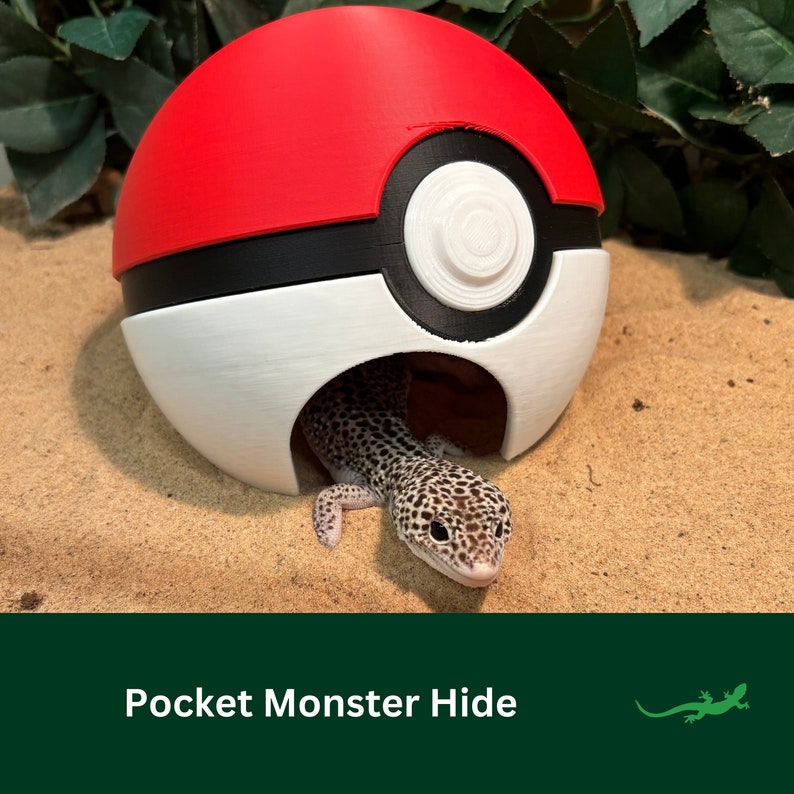 May include: A red, white, and black Pokeball-shaped reptile hide with a small lizard peeking out of the opening.
