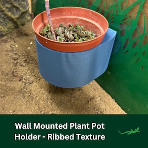 May include: A blue wall-mounted plant pot holder with a ribbed texture. The holder is designed to hold a small terracotta pot with a plant growing inside.