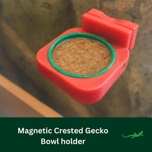 MAGNETIC Crested Gecko Feeding Ledge,  Wall mounted reptile dish, Gecko Diet Platform, Vivarium Decor, Perfect Gift for Reptile Lover