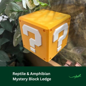 Mystery Block Ledge Reptile platform, Vivarium Decor, Crested Gecko Gift, Dart tree Frog, Jumping Spider, Climbing Basking Spot, SUCTION CUP