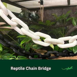 CHAIN Reptile Rickety Bridge, Gecko Climbing Spot, Vivarium Decoration Accessory for Jumping Spider, Frog, Perfect Gift for Reptile Lover