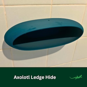 May include: A teal blue plastic ledge hide for an axolotl tank. The hide is shaped like a half-circle and has a flat ledge on the top.