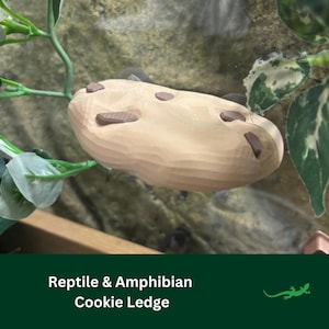 May include: A light brown, cookie-shaped reptile and amphibian ledge. The ledge has a textured surface and is designed to look like a cookie.