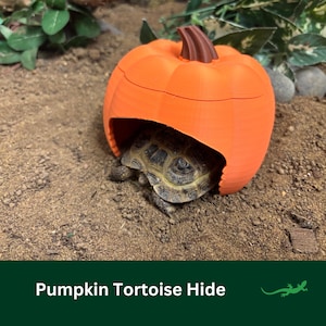 May include: An orange pumpkin-shaped tortoise hide with a brown stem. A tortoise is partially visible inside the hide. The hide is set on a bed of sand. The text "Pumpkin Tortoise Hide" is at the bottom of the image.