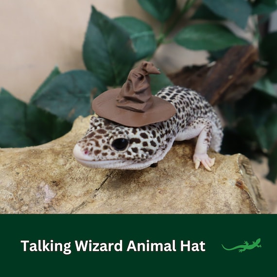 Sorter Hat for Small Pet, Critter Accessory, Funny Gift for reptile lover, amphibian, bearded dragon, frog, gecko, Hamster, Guinea pig, rat