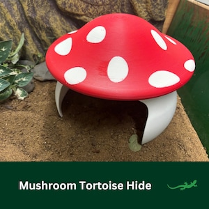 TORTOISE Mushroom Reptile Hide, Whimsical Vivarium Accessory for Pet enclosure, Leopard, Herman, Horsefield, Shelled Reptile Gift
