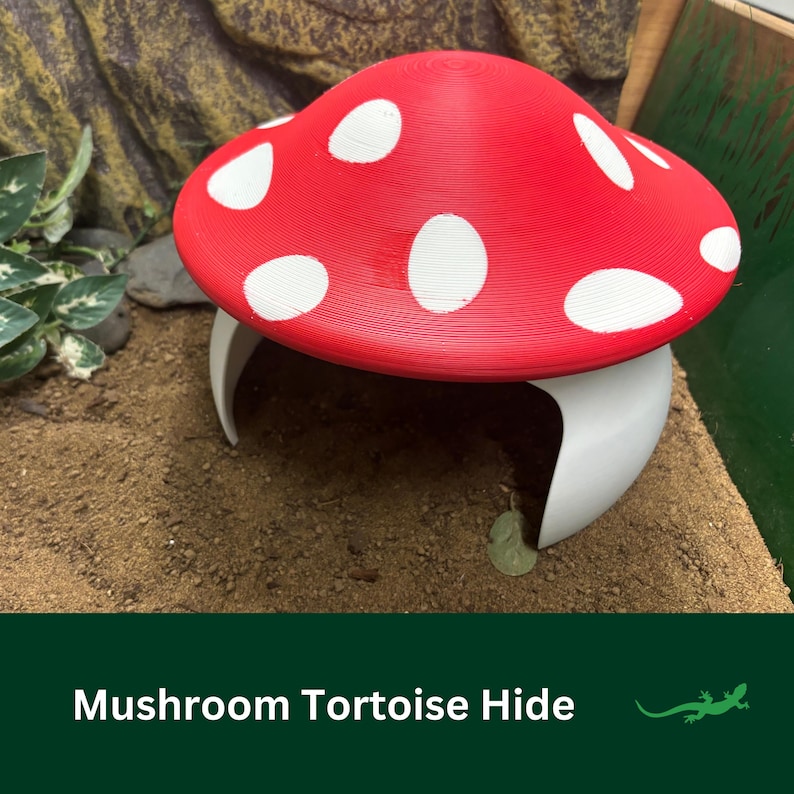 Puede incluir: Una escondite para tortugas con forma de hongo rojo y blanco. El escondite est&aacute; hecho de pl&aacute;stico y tiene un interior blanco. El escondite est&aacute; sobre una superficie marr&oacute;n.
