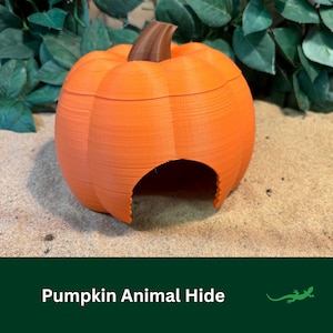 May include: An orange pumpkin-shaped animal hide with a brown stem. The hide has a large opening. The text "Pumpkin Animal Hide" is at the bottom of the image. It is on a sandy surface.