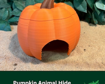 May include: Orange pumpkin-shaped animal hide with a brown stem. The hide has a large opening and is sitting on a sandy surface. The text "Pumpkin Animal Hide" is at the bottom of the image.