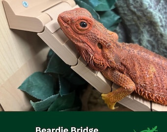BEARDED DRAGON Rickety Bridge, Leachie Gecko Climbing Spot, Reptile Decoration, Vivarium Accessory, Frog, Perfect Reptile Lover Gift