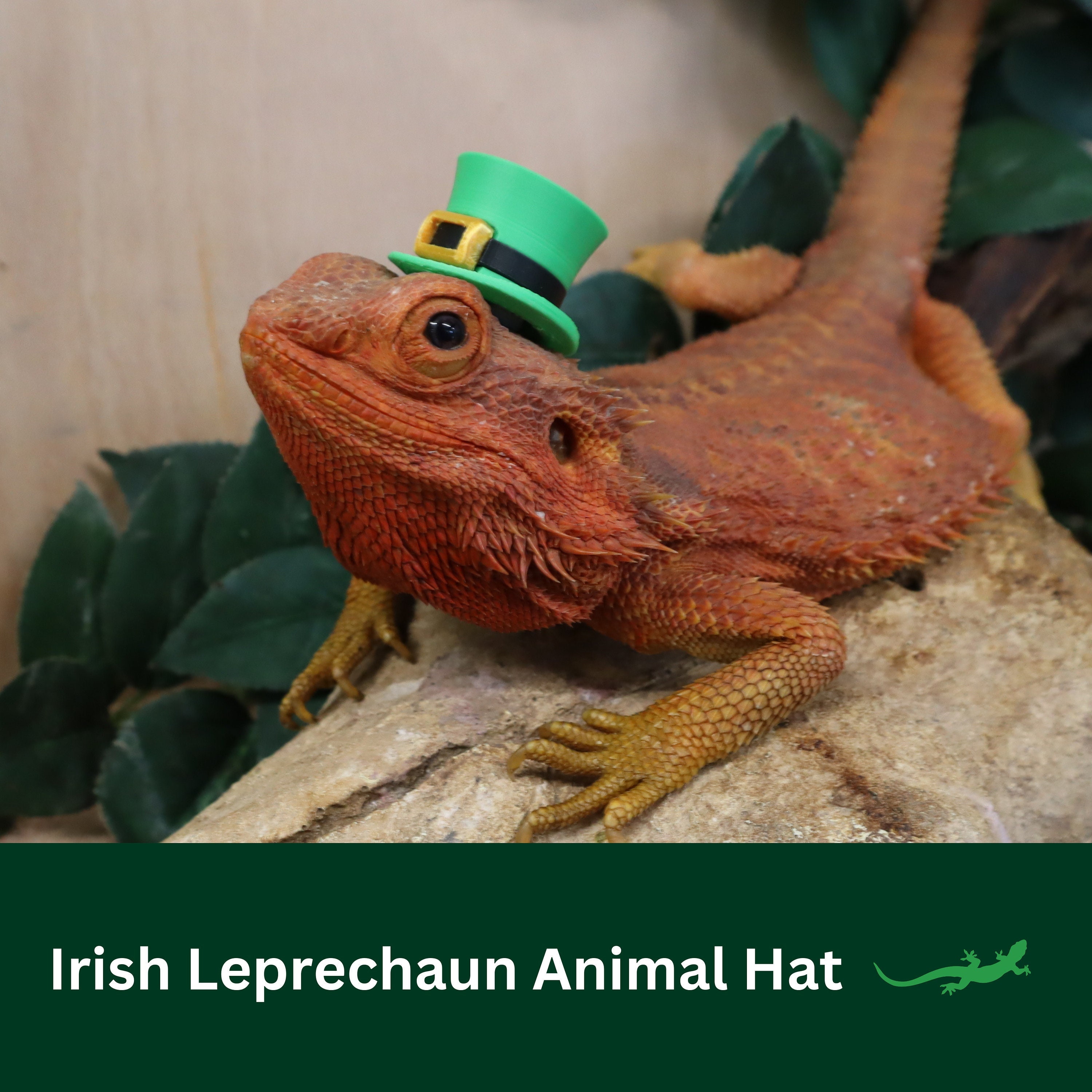 Irish Leprechaun Hat for Small Pet, St Patricks Day Critter  display picture 2