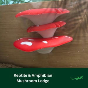 Mushroom Ledge Reptile platform, Vivarium Decor, Gift for Crested Gecko, Dart tree Frog, Jumping Spider, Climbing Basking Spot, SUCTION CUPS