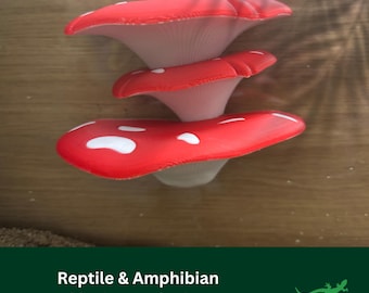 MAGNETISCHE Pilzleiste Reptilienplattform, Vivarium Dekor, Geschenk für Gecko mit Haube, Dart Laubfrosch, springende Spinne, Klettern Aalstelle