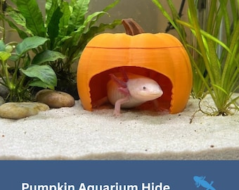 AXOLOTL Pumpkin Hide, GROUND, Aquarium Decoration, Betta, Fighter Fish Tank Decor, Amphibian lover Gift, cave hiding spot